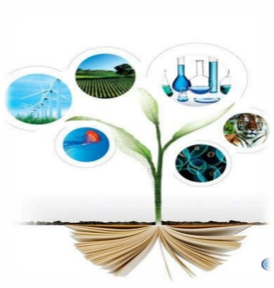 sciverse-sciencedirect-singapore-polytechnic-1-728.jpg